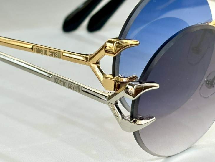 Picture of Roberto Cavalli Sunglasses _SKUfw66743114fw